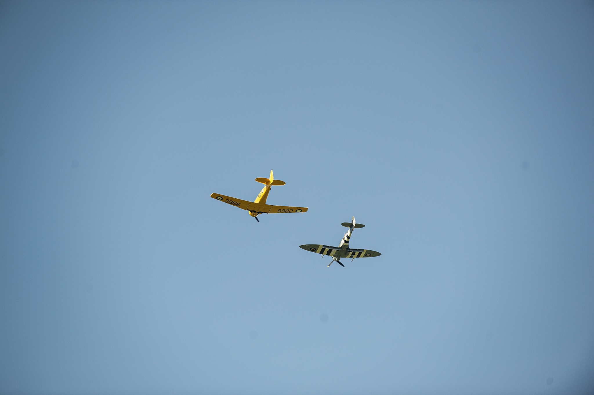 Spitfires above beechwood