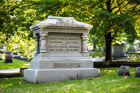 Bronson family plot