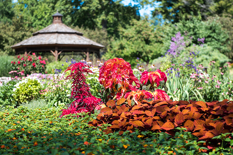 Picture of the gardens