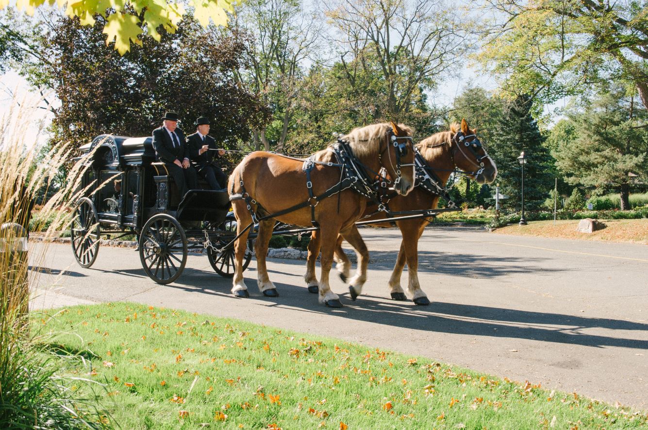 Horse drawn hearst