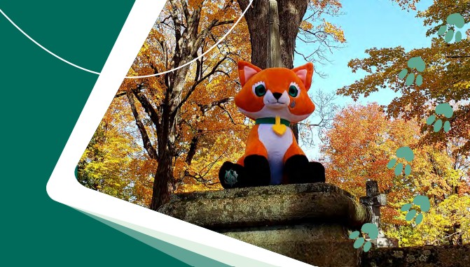 Echo the fox  on a mounument