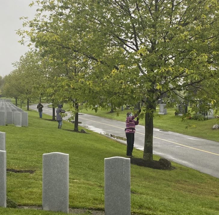 Community members clean up the ldd moths