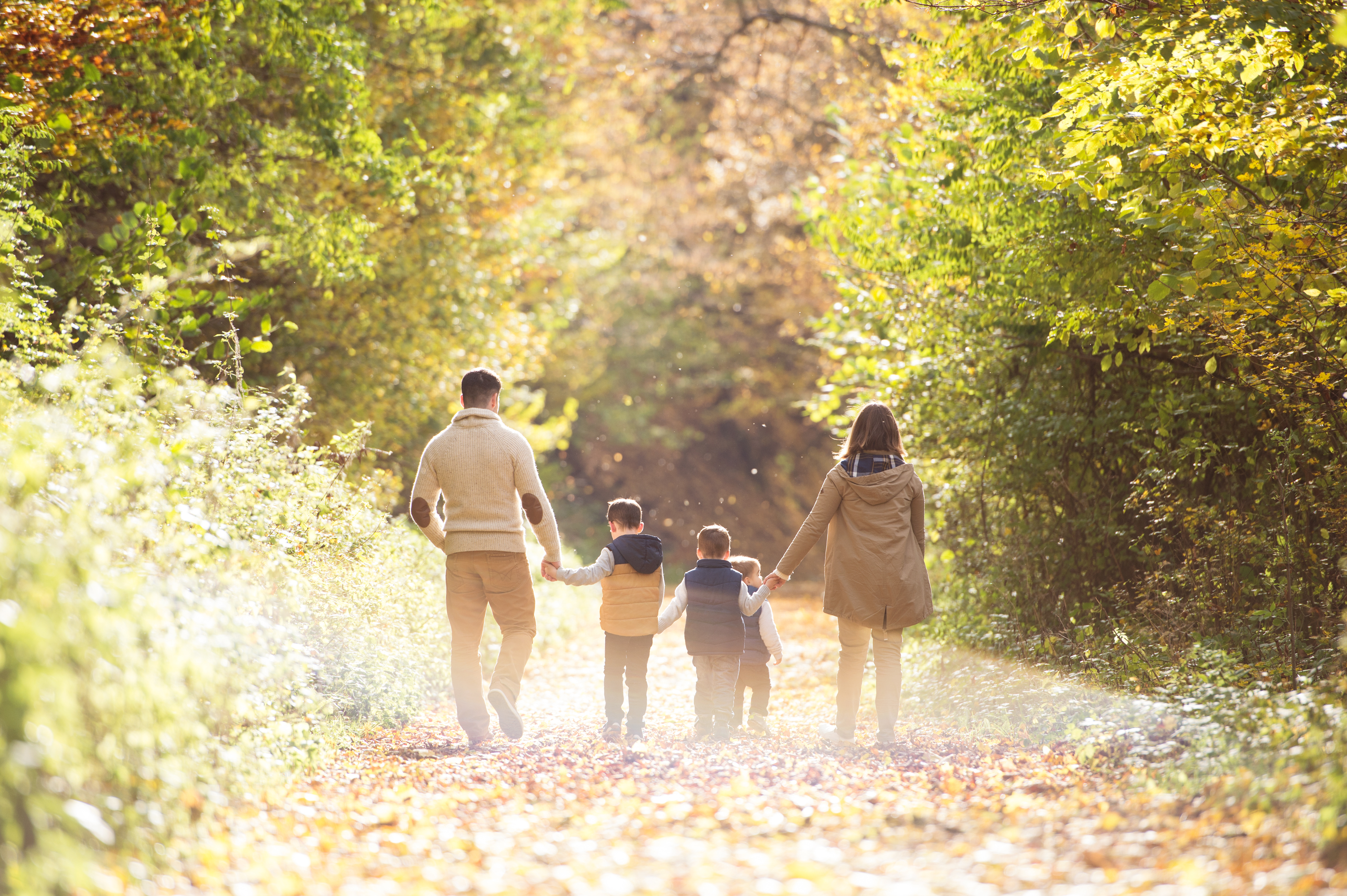 Family walking in a forest