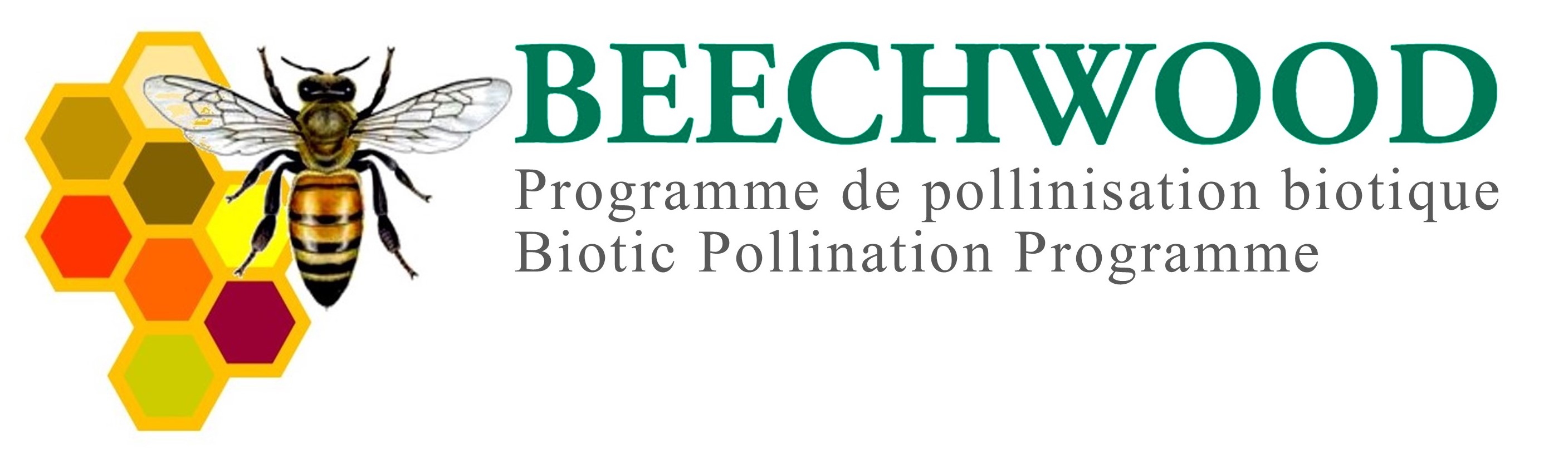 Bee program