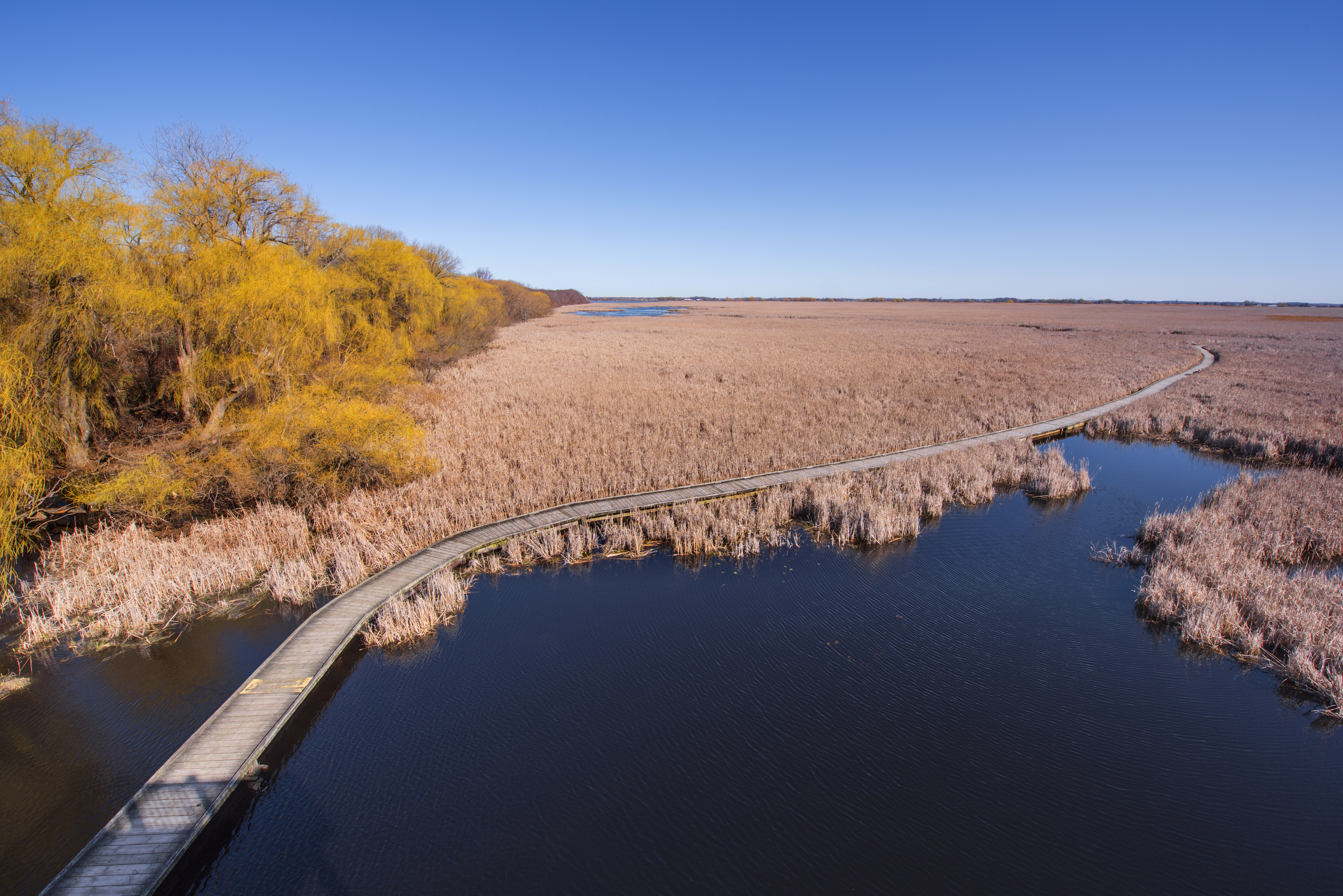 Point Pelee National PArk