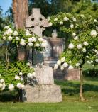 Celtic Cross of Burns Family in section 50 surrounded by magnolia trees