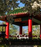 Asian Cultural communities | Beechwood