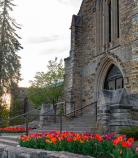 Beechwood Mausoleum with purple, red and orange tulips