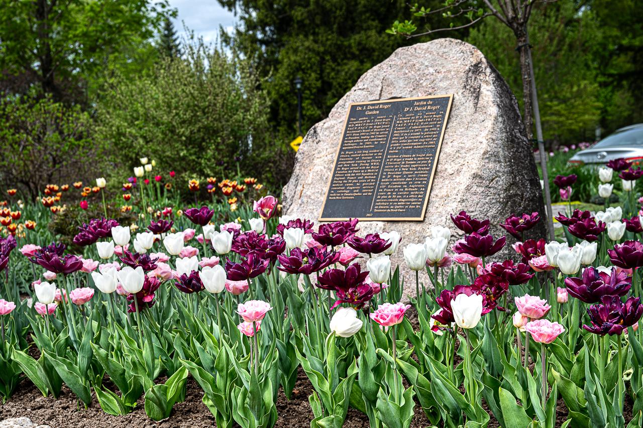 In Beechwood Cemetery by Lampman on stone near the gazebo