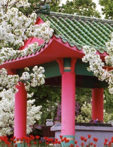 Pagoda during springtime