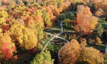 Beechwood section 64 in the fall from a drone 