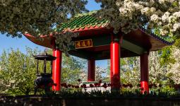 Asian Cultural communities | Beechwood